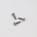 Stainless Steel 304/316 Hex Socket Head CSK Screw